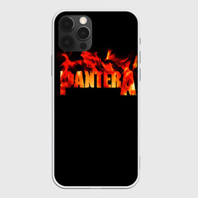 Чехол для iPhone 12 Pro Max с принтом Pantera в Новосибирске, Силикон |  | Тематика изображения на принте: american | anselmo | havy metal | pantera | philip anselmo | trash metal | ансельмо | пантера | фил ансельмо