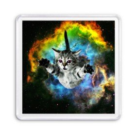 Магнит 55*55 с принтом КОСМИЧЕСКИЙ КОТ в Новосибирске, Пластик | Размер: 65*65 мм; Размер печати: 55*55 мм | cat | cats | животные | киса | киска | кот | котики | коты | котэ | кошка | природа