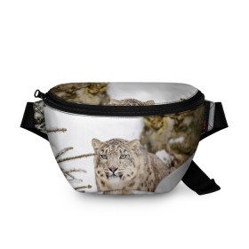 Поясная сумка 3D с принтом Ирбис в Новосибирске, 100% полиэстер | плотная ткань, ремень с регулируемой длиной, внутри несколько карманов для мелочей, основное отделение и карман с обратной стороны сумки застегиваются на молнию | snow leopard | барс | барсы | животное | животные | звери | зверь | зима | зимы | ирбис | киски | кот | коты | кошачьи | кошка | кошки | мохнатые | мохнатый | пятнистые | пятнистый | снег | снежный
