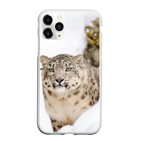 Чехол для iPhone 11 Pro матовый с принтом Ирбис в Новосибирске, Силикон |  | Тематика изображения на принте: snow leopard | барс | барсы | животное | животные | звери | зверь | зима | зимы | ирбис | киски | кот | коты | кошачьи | кошка | кошки | мохнатые | мохнатый | пятнистые | пятнистый | снег | снежный