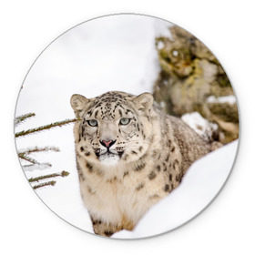 Коврик для мышки круглый с принтом Ирбис в Новосибирске, резина и полиэстер | круглая форма, изображение наносится на всю лицевую часть | snow leopard | барс | барсы | животное | животные | звери | зверь | зима | зимы | ирбис | киски | кот | коты | кошачьи | кошка | кошки | мохнатые | мохнатый | пятнистые | пятнистый | снег | снежный