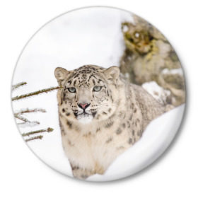Значок с принтом Ирбис в Новосибирске,  металл | круглая форма, металлическая застежка в виде булавки | snow leopard | барс | барсы | животное | животные | звери | зверь | зима | зимы | ирбис | киски | кот | коты | кошачьи | кошка | кошки | мохнатые | мохнатый | пятнистые | пятнистый | снег | снежный