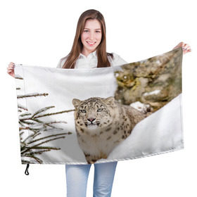 Флаг 3D с принтом Ирбис в Новосибирске, 100% полиэстер | плотность ткани — 95 г/м2, размер — 67 х 109 см. Принт наносится с одной стороны | snow leopard | барс | барсы | животное | животные | звери | зверь | зима | зимы | ирбис | киски | кот | коты | кошачьи | кошка | кошки | мохнатые | мохнатый | пятнистые | пятнистый | снег | снежный