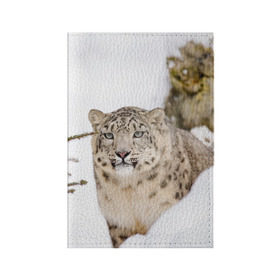 Обложка для паспорта матовая кожа с принтом Ирбис в Новосибирске, натуральная матовая кожа | размер 19,3 х 13,7 см; прозрачные пластиковые крепления | Тематика изображения на принте: snow leopard | барс | барсы | животное | животные | звери | зверь | зима | зимы | ирбис | киски | кот | коты | кошачьи | кошка | кошки | мохнатые | мохнатый | пятнистые | пятнистый | снег | снежный