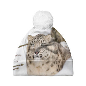 Шапка 3D c помпоном с принтом Ирбис в Новосибирске, 100% полиэстер | универсальный размер, печать по всей поверхности изделия | snow leopard | барс | барсы | животное | животные | звери | зверь | зима | зимы | ирбис | киски | кот | коты | кошачьи | кошка | кошки | мохнатые | мохнатый | пятнистые | пятнистый | снег | снежный