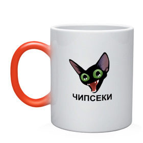 Кружка хамелеон с принтом Чипсеки мем в Новосибирске, керамика | меняет цвет при нагревании, емкость 330 мл | Тематика изображения на принте: кот | кот мем | чипсеки | чипсики | чипсы