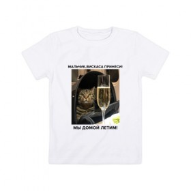 Детская футболка хлопок с принтом Кот-Недолет в Новосибирске, 100% хлопок | круглый вырез горловины, полуприлегающий силуэт, длина до линии бедер | брат | брат 2 | котики | коты | мемы | мемы с котами