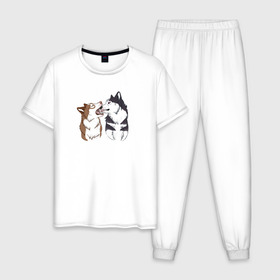 Мужская пижама хлопок с принтом Две Хаски в Новосибирске, 100% хлопок | брюки и футболка прямого кроя, без карманов, на брюках мягкая резинка на поясе и по низу штанин
 | Тематика изображения на принте: две хаски | друзья | питомцы | рисунок | собаки | хаски