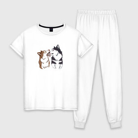 Женская пижама хлопок с принтом Две Хаски в Новосибирске, 100% хлопок | брюки и футболка прямого кроя, без карманов, на брюках мягкая резинка на поясе и по низу штанин | две хаски | друзья | питомцы | рисунок | собаки | хаски