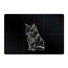 Магнитный плакат 3Х2 с принтом Пушистый котёнок в Новосибирске, Полимерный материал с магнитным слоем | 6 деталей размером 9*9 см | Тематика изображения на принте: животные | зверёк | кот | котёнок | милашка | няшка | счастье