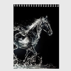Скетчбук с принтом Скакун в Новосибирске, 100% бумага
 | 48 листов, плотность листов — 100 г/м2, плотность картонной обложки — 250 г/м2. Листы скреплены сверху удобной пружинной спиралью | black | expression | horse | jumper | water | вода | лошадь | скакун | черный | экспрессия