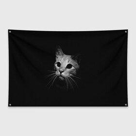 Флаг-баннер с принтом Кошачья морда в Новосибирске, 100% полиэстер | размер 67 х 109 см, плотность ткани — 95 г/м2; по краям флага есть четыре люверса для крепления | кот | кошка | темнота