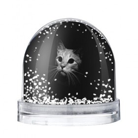 Снежный шар с принтом Кошачья морда в Новосибирске, Пластик | Изображение внутри шара печатается на глянцевой фотобумаге с двух сторон | кот | кошка | темнота