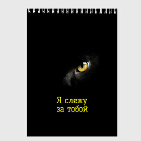 Скетчбук с принтом Следящий кошачий глаз в Новосибирске, 100% бумага
 | 48 листов, плотность листов — 100 г/м2, плотность картонной обложки — 250 г/м2. Листы скреплены сверху удобной пружинной спиралью | кот в темноте | кошачий глаз