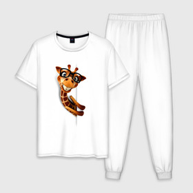 Мужская пижама хлопок с принтом Жираф в Новосибирске, 100% хлопок | брюки и футболка прямого кроя, без карманов, на брюках мягкая резинка на поясе и по низу штанин
 | животное | животное в очках | жираф | жираф в очках | забавное | рисунок