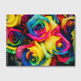 Альбом для рисования с принтом Разноцветные розы в Новосибирске, 100% бумага
 | матовая бумага, плотность 200 мг. | Тематика изображения на принте: букет | букеты | природа | природный | разноцветная | разноцветные | растение | растения | роза | розочка | розочки | розы | флора | цветной | цветные | цветок | цветочек | цветочки | цветы