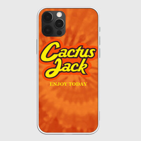 Чехол для iPhone 12 Pro Max с принтом Cactus Jack в Новосибирске, Силикон |  | Тематика изображения на принте: reeses puffs | travis scott | джэк | кактус | трэвис скотт