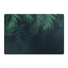 Магнитный плакат 3Х2 с принтом Пальмовый узор в Новосибирске, Полимерный материал с магнитным слоем | 6 деталей размером 9*9 см | джунгли | зелёный | лепестки | лепесток | лес | листья | пальма | пальмы | папоротник | салатовый | тропики | черный