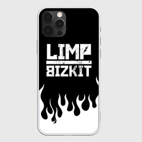 Чехол для iPhone 12 Pro Max с принтом Limp Bizkit в Новосибирске, Силикон |  | bizkit | limp | limp bizkit | music | rock | бизкиты | лимп бизкит | лимпы | липкие письки | музыка | рок