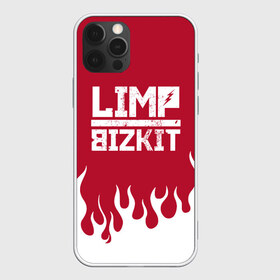 Чехол для iPhone 12 Pro Max с принтом Limp Bizkit в Новосибирске, Силикон |  | bizkit | limp | limp bizkit | music | rock | бизкиты | лимп бизкит | лимпы | липкие письки | музыка | рок