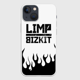 Чехол для iPhone 13 mini с принтом Limp Bizkit в Новосибирске,  |  | bizkit | limp | limp bizkit | music | rock | бизкиты | лимп бизкит | лимпы | липкие письки | музыка | рок