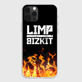 Чехол для iPhone 12 Pro Max с принтом Limp Bizkit в Новосибирске, Силикон |  | bizkit | limp | limp bizkit | music | rock | бизкиты | лимп бизкит | лимпы | липкие письки | музыка | рок