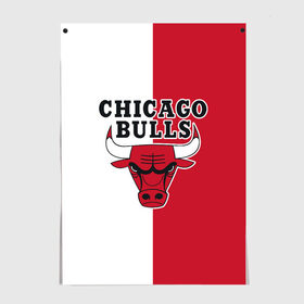 Постер с принтом CHICAGO BULLS в Новосибирске, 100% бумага
 | бумага, плотность 150 мг. Матовая, но за счет высокого коэффициента гладкости имеет небольшой блеск и дает на свету блики, но в отличии от глянцевой бумаги не покрыта лаком | bulls | chicago | chicago bulls | nba | red bulls | usa | америка | быки | нба | сша | чикаго буллс