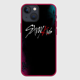 Чехол для iPhone 13 mini с принтом STRAY KIDS в Новосибирске,  |  | skz | stray kids | бан чан | ли ноу | скз | стрей кидс | сынмин | уджин | феликс | хан | хёджин | чанбин