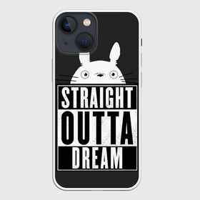 Чехол для iPhone 13 mini с принтом Тоторо Straight outta dream в Новосибирске,  |  | anime | hayao miyazaki | japanese | meme | miyazaki | piano | studio ghibli | tokyo | totoro | гибли | котобус | мой | сосед | сусуватари | тонари | тоторо | хаяо миядзаки