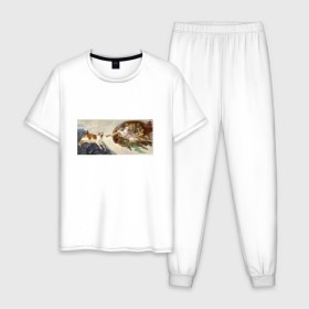 Мужская пижама хлопок с принтом Сотворение Адама и кот в Новосибирске, 100% хлопок | брюки и футболка прямого кроя, без карманов, на брюках мягкая резинка на поясе и по низу штанин
 | Тематика изображения на принте: mem | memes | весело | искусство | кот | котик | мем | прикол | сотворение адама