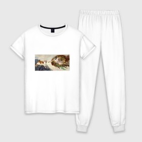 Женская пижама хлопок с принтом Сотворение Адама и кот в Новосибирске, 100% хлопок | брюки и футболка прямого кроя, без карманов, на брюках мягкая резинка на поясе и по низу штанин | mem | memes | весело | искусство | кот | котик | мем | прикол | сотворение адама