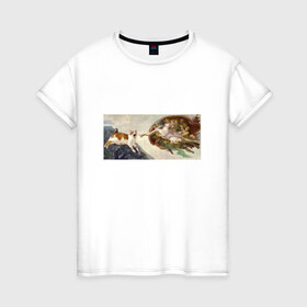 Женская футболка хлопок с принтом Сотворение Адама и кот в Новосибирске, 100% хлопок | прямой крой, круглый вырез горловины, длина до линии бедер, слегка спущенное плечо | mem | memes | весело | искусство | кот | котик | мем | прикол | сотворение адама