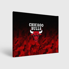 Холст прямоугольный с принтом CHICAGO BULLS | ЧИКАГО БУЛЛС в Новосибирске, 100% ПВХ |  | bulls | chicago | chicago bulls | nba | red bulls | usa | америка | быки | нба | сша | чикаго буллс