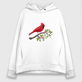 Женское худи Oversize хлопок с принтом Красный кардинал в Новосибирске, френч-терри — 70% хлопок, 30% полиэстер. Мягкий теплый начес внутри —100% хлопок | боковые карманы, эластичные манжеты и нижняя кромка, капюшон на магнитной кнопке | cardinalis cardinalis | красный кардинал | новогодняя птица | птица | птичка | рождественская птица