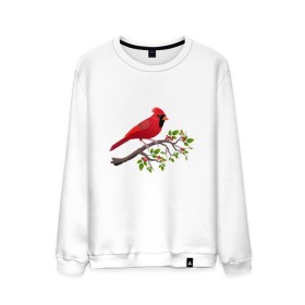 Мужской свитшот хлопок с принтом Красный кардинал в Новосибирске, 100% хлопок |  | cardinalis cardinalis | красный кардинал | новогодняя птица | птица | птичка | рождественская птица