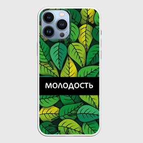 Чехол для iPhone 13 Pro Max с принтом Молодость глупость в Новосибирске,  |  | Тематика изображения на принте: глупость | жизнь | зелень | листья | молодость | надпись