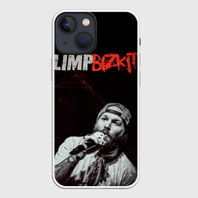 Чехол для iPhone 13 mini с принтом Limp Bizkit в Новосибирске,  |  | limp bizkit | лимп бискит | музыка | рок