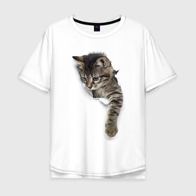 Мужская футболка хлопок Oversize с принтом 3д кот в Новосибирске, 100% хлопок | свободный крой, круглый ворот, “спинка” длиннее передней части | 3d | 3д | животные | кот | котик | кошка | прикольная картинка