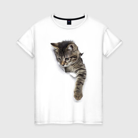 Женская футболка хлопок с принтом 3д кот в Новосибирске, 100% хлопок | прямой крой, круглый вырез горловины, длина до линии бедер, слегка спущенное плечо | Тематика изображения на принте: 3d | 3д | животные | кот | котик | кошка | прикольная картинка