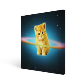 Холст квадратный с принтом Рыжий Котик в Новосибирске, 100% ПВХ |  | cat | cats | животные | киса | киска | кот | котики | коты | котэ | кошка | природа