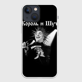 Чехол для iPhone 13 mini с принтом Король и Шут + Анархия (спина) в Новосибирске,  |  | punk | rock | киш | король | король и шут | михаил горшенев | панки | рок | русский рок | шут