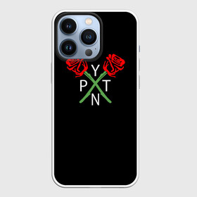 Чехол для iPhone 13 Pro с принтом ТИКТОКЕР   PAYTON MOORMEIE. в Новосибирске,  |  | payton | payton moormeie | блогер | знаменитость | пейтон | пейтон моормиер | тиктоенр