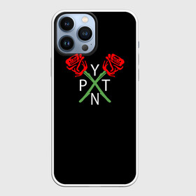 Чехол для iPhone 13 Pro Max с принтом ТИКТОКЕР   PAYTON MOORMEIE. в Новосибирске,  |  | payton | payton moormeie | блогер | знаменитость | пейтон | пейтон моормиер | тиктоенр