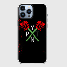 Чехол для iPhone 13 Pro Max с принтом Payton Moormeie   тикток в Новосибирске,  |  | payton moormeie | tiktok | блогер | пейтон | пейтон моормиер | тикток | тиктокер | ютубер