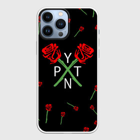 Чехол для iPhone 13 Pro Max с принтом PAYTON MOORMEIER   ТИКТОК | РОЗЫ в Новосибирске,  |  | payton moormeier | tiktok | блогер | пейтон | пейтон моормиер | тикток | тиктокер | ютубер