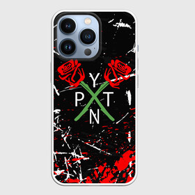 Чехол для iPhone 13 Pro с принтом PAYTON MOORMEIER   ТИКТОК в Новосибирске,  |  | payton moormeier | tiktok | блогер | пейтон | пейтон моормиер | тикток | тиктокер | ютубер