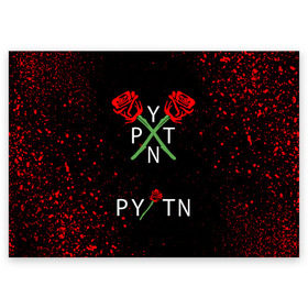 Поздравительная открытка с принтом PAYTON MOORMEIER - ТИКТОК в Новосибирске, 100% бумага | плотность бумаги 280 г/м2, матовая, на обратной стороне линовка и место для марки
 | Тематика изображения на принте: flower | payton moormeier | roses | tiktok | автограф payton | блогер | пейтон | пейтон моормиер | розы | тикток | тиктокер | цветы | ютубер