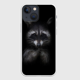 Чехол для iPhone 13 mini с принтом енот в Новосибирске,  |  | енот | енот хайп | еноты | животные | лайв тудей