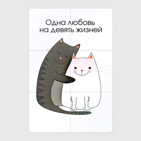 Магнитный плакат 2Х3 с принтом Любовь на девять жизней в Новосибирске, Полимерный материал с магнитным слоем | 6 деталей размером 9*9 см | 14 февраля | 8 марта | валентинов день | верность | влюбленность | влюбленные | вместе навсегда | двое | девичник | девушке | кот | коты | кошка | кошки | любимая | любимый | люблю | люблю тебя | мы с тобо