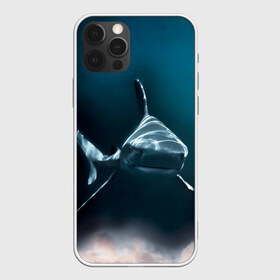 Чехол для iPhone 12 Pro Max с принтом акула в Новосибирске, Силикон |  | fish | sea | shark | акула | водоросли | майки с морем | майки с прикольными рыбками | майки с рыбками | море | морская рыба | морские картинки | морские фото | прикольные рыбки | рыба | рыбка | хищная рыба
